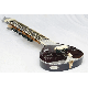 SITAR FUSION PEARL ELECTRIC WITH FIBERGLASS CASE GSM014 