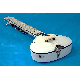 SITAR FUSION ELECTRIC WITH FIBERGLASS CASE GSM036