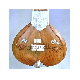 SITAR FUSION ELECTRIC BIRD HEAD GSM060