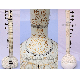 SITAR GOLDEN LEAF WITH FIBERGLASS CASE GSM063