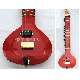 ZITAR FUSION SITAR NILADRI KUMAR STYLE WITH FIBERGLASS CASE GSM064