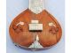 SITAR ELECTRIC FUSION WITH FIBERGLASS CASE GSM071