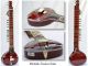 SITAR METALIC FUSION WITH FIBERGLASS CASE GSM015