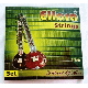 SITAR STRING COMPLETE SET WITH SYMPATHETIC STRINGS GSMA001